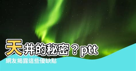 有天井的房子 ptt|[媽佛][經驗] 有天井的那棟房 